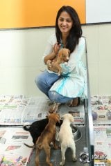 Anushka at Blue Cross Pet Carnival 2014